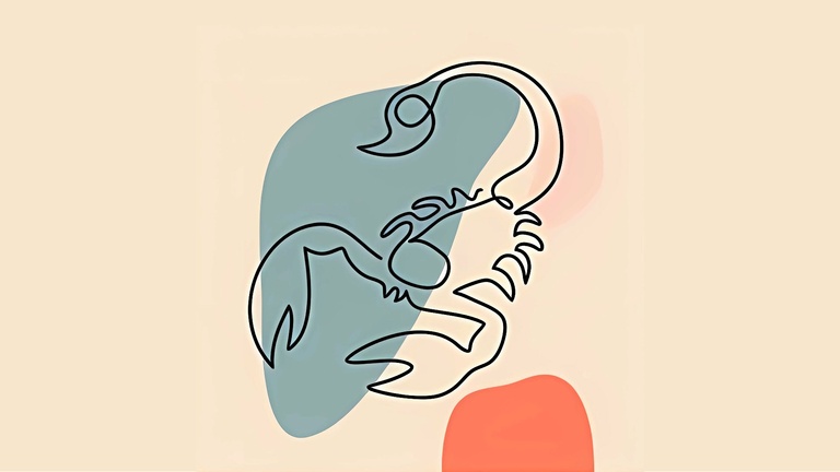 Akrep Burcu Günlük Yorum